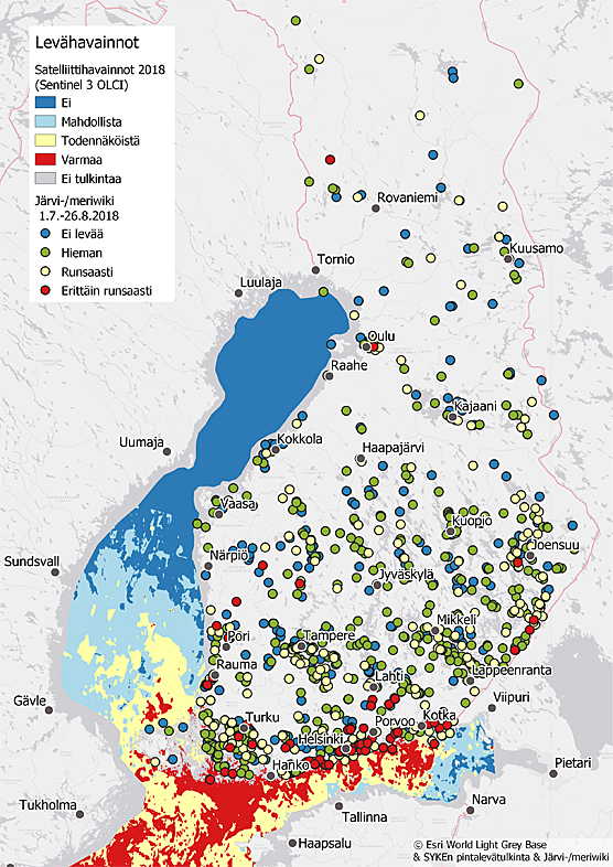 Sinilevähavainnot kesä 2018